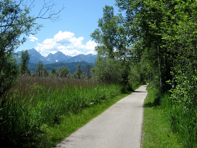 cykelsti